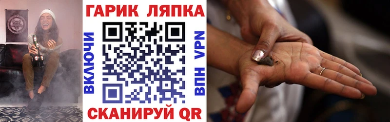 ГАШ ice o lator  Киселёвск 