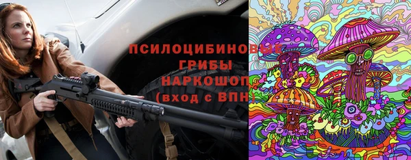 стаф Алексеевка