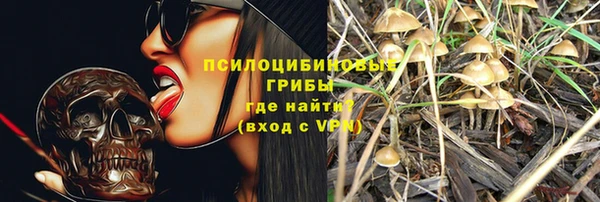 PSILOCYBIN Алексин