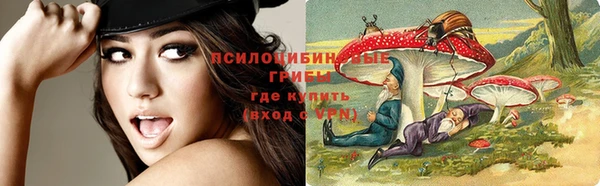 стаф Алексеевка