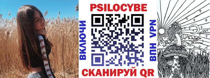 ОМГ ОМГ зеркало что такое Киселёвск Псилоцибиновые грибы мухоморы